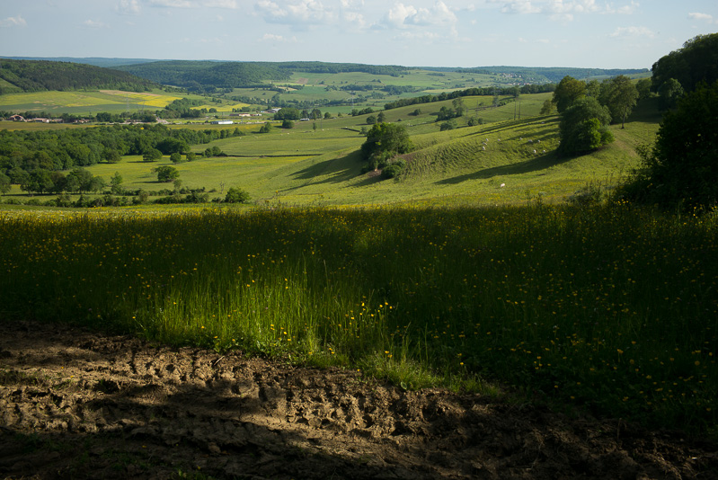paysage-2