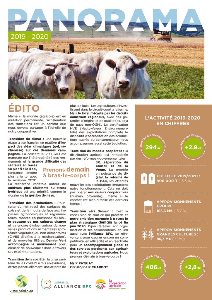 thumbnail of rapport-d’activite-2020_12 pages_9