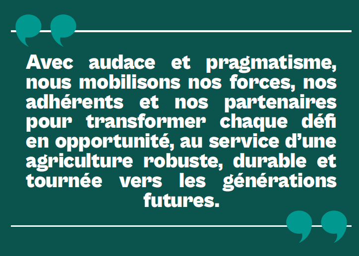 audace